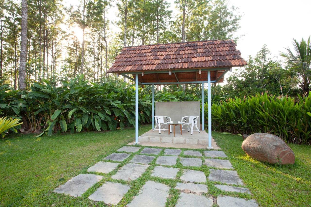 Stayvista At Cedar - Strelitzia 2Bhk With Breakfast And Jacuzzi Chikmagalūr Esterno foto